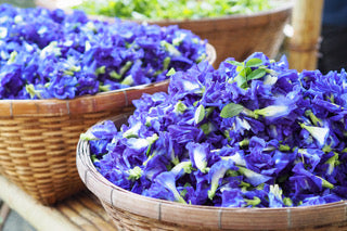 My Favorite Things: Blue Butterfly Pea